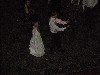 Click for large picture